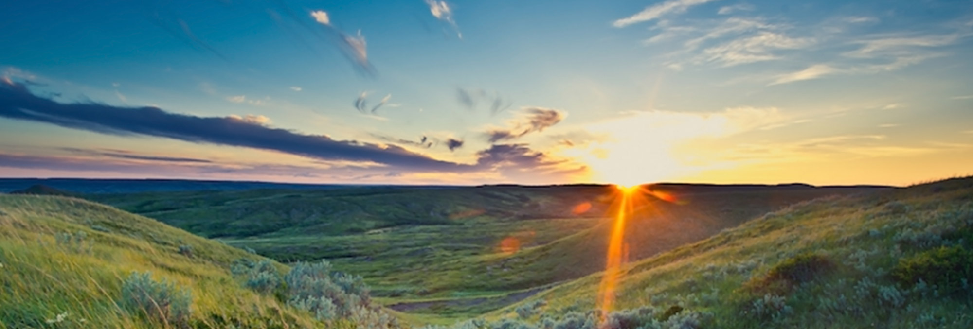 Catholic Foundation of Eastern Montana