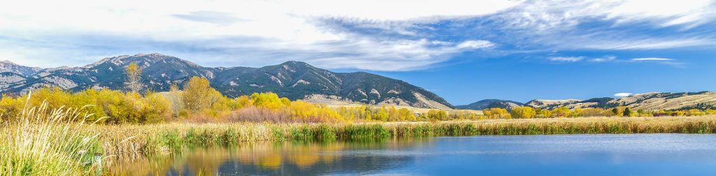 Endowments at Catholic Foundation of Eastern Montana